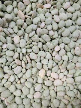 BABY LIMA BEAN KG - BAG OF 5KG