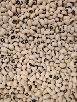 BLACK EYED PEAS KG - BAG OF 25KG