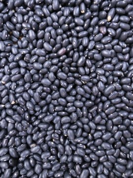 BLACK BEAN KG - BAG OF 25KG