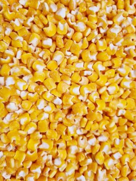 YELLOW MAIZE KG - BAG OF 25KG
